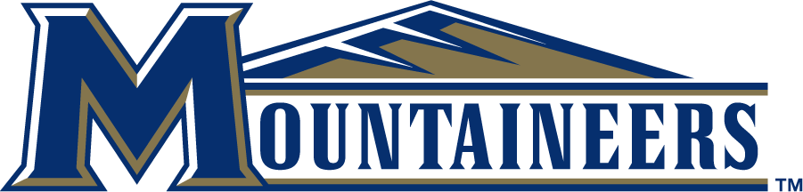 Mount St. Marys Mountaineers 2006-2016 Wordmark Logo v4 t shirts iron on transfers